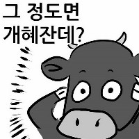 그정도면 개혜자인데?"